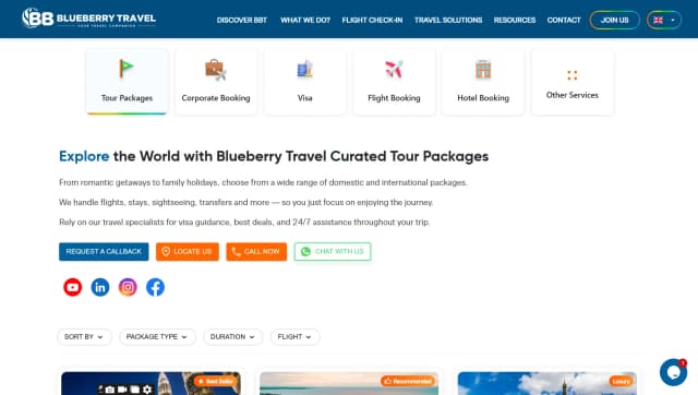 Blueberry Travels Website